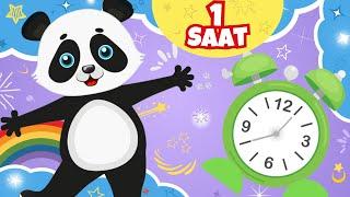 Tombik Panda 1 Saat Şarkılar - 60 Dakika - Eğitici Çocuk Şarkıları - Çizgi Film