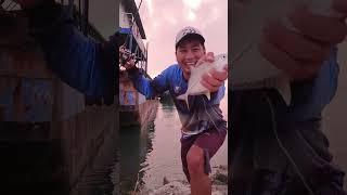 Nakadali Ng good-sized kitok #antizero #ratlersabiki #fishing