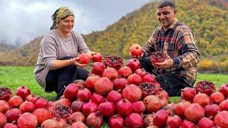 الحياة الحقيقية في القرية الأذربيجانية! | أفضل فيديوات القرية لعام 2023