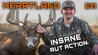 Bow Hunting An ANGRY Buck, Magical Iowa Rut Hunt #hunting #deerhunting