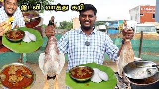 சென்னையில்  வாத்துகறி  குழம்பு ஆவி பறக்கும் இட்லி |Duck Curry Cooking|Koorakadai vathu Kari-VlovetoR