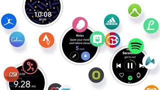 Wear OS Samsung One UI Watch