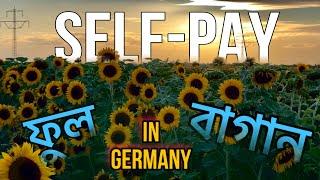 “জার্মানির self-pay ফুলের খামার