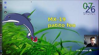 MX 19 "patito feo"