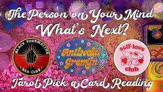 ️The Person On Your Mind! What's Going On and What's Next?️ Tarot Pick a Card Love Reading