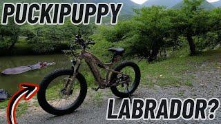 Conquering Mountains with the Puckipuppy Labrador: The Ultimate Off-Road Ebike Adventure!