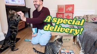 Meeting Rescued Cats & a Special Delivery! | Christmas with Mr Carrington