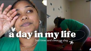 Sad times and cleaning up Vlog| Paola Deschamps