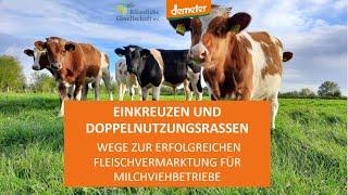 Einkreuzen und Doppelnutzungsrassen als Wege zur Fleischvermarktung für Milchviehbetriebe