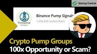 Crypto Pump Groups | Can they make you RICH or are they a Scam?