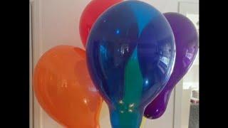 Inflating 5 Qualatex 24 inch latex balloons with helium