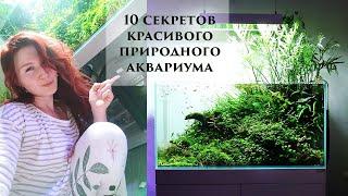 10 секретов красивого природного аквариума