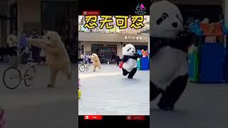 cute panda  funny bear  | funny video | comedy video | cartoon #viral #trending #shorts #funny