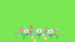 Pantaya verde, flowers, green screen, Flores.