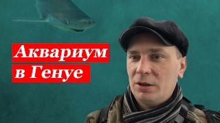 Италия. Эпизод #3. Аквариум в Генуе (Acquario di Genova)