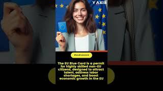 What is the EU Blue Card?