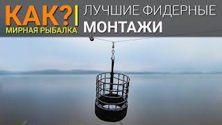 КАК? Лучшие фидерные монтажи. Инлайн или патерностер?