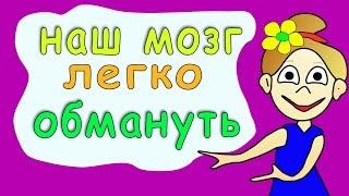 Не верь своим глазам -2  Бабушка Шошо иллюзии / тест на внимательность