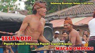 Selandir Pepadu Legend Janapria Ditantang Pepadu Legend Kppang Macan Ompong / Peresean Terbaru 2023