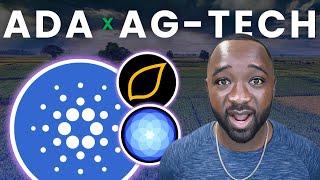 AgTech Giant FAVORS Cardano—This Could MASSIVELY Impact the $ADA Ecosystem!