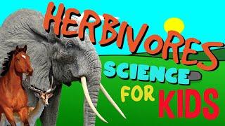 What is a Herbivore? | Science for Kids