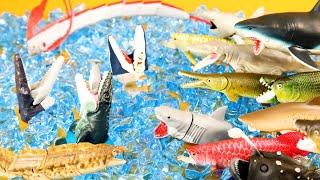 Scary Shark & dinosaur Monster Fish Toys