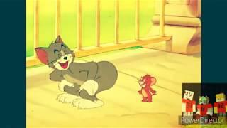 Tom and Jerry AMV - Perfect Life