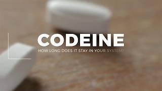 How long does Codeine Stay in Your System?