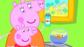 Peppa Pig Yeni bölümler ⭐ Balık Goldie  Programının en iyi bölümleri | Çocuklar için Çizgi Filmler