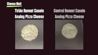 Cheese Melt- Rennet Casein in Pizza Analogue