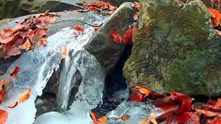 Water Flowing through Rocks under Ice · Free Stock Video