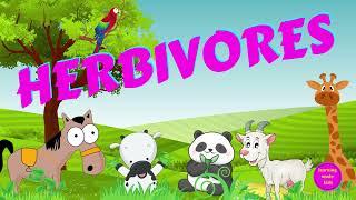 Herbivores | Types of Animals | Science for Kids