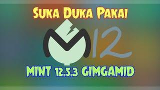 Suka Duka Pakai Custom ROM MIUI Mint V12.5.3 GIMGAMID