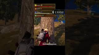 Мудрый не нападает, а выжидает #pubg  #ynamedd