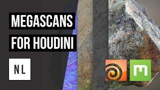 Megascans for Houdini