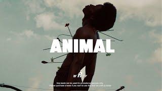 Afrobeat Instrumental 2025 x Burna Boy ft Omah lay Type Beat "ANIMAL;" Emotional Afrobeat Type Beat