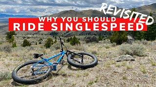 Why You Should Ride A Single Speed: Revisited | Singlespeed 29+ MTB | Surly Ice Cream Truck