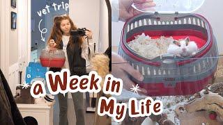 Penny Goes to the Vet | A Week in My Life