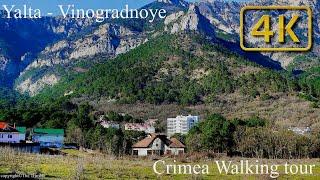 [4K] RUSSIA CRIMEA YALTA GRAPE 2023. A walk through a mountain village, a trip across Russia.