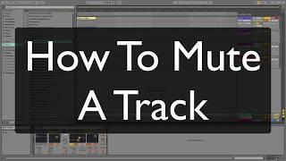 How to Mute a Track Ableton Live