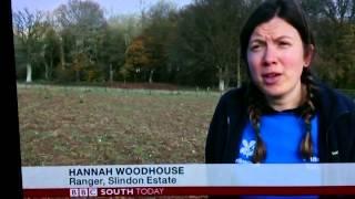 National Trust/Jon Edgar Rise of Northwood TV footage November 2014