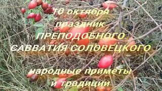 10 октября праздник Преподобного Савватия Соловецкого. Народные приметы и поверья