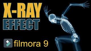 X-Ray Effect | Filmora 9 Effects