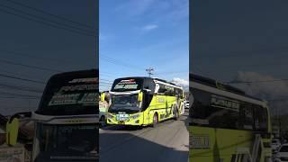 TELOLET BASURI BUS ERIKA JAYA PRINCE JAVANESE #basuri #busmania #telolet