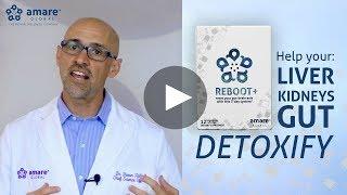 Reboot Holidays with Dr. Shawn Talbott