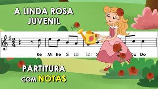 A Linda Rosa Juvenil | Partitura com Notas para Flauta Doce, Violino + Playback | Cantiga Popular