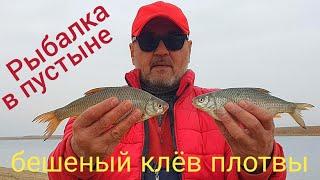 Рыбалка от заката до рассвета. ( Fishing from dusk till dawn )