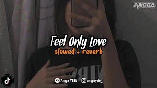 DJ Feel Only Love (Slowed & Reverb) 