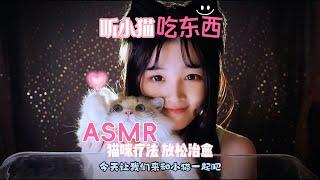 【ASMR / shorts vol 44】ASMR猫咪食音哄睡助眠解压