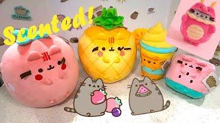  2024 New Pusheen Plush! Upcoming Fruits Line?